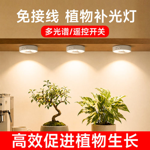 植物补光灯充电款室内多肉光谱模拟仿太阳光灯led绿植专用生长灯
