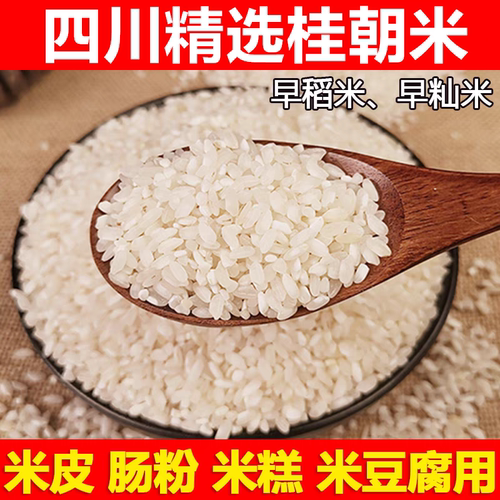 四川桂朝米做凉糕凉虾原料稻米早籼米肠粉米豆腐专用桂朝米商用