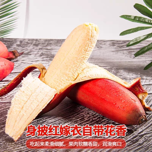 正宗红美人香蕉特大果banana当季新鲜水果整箱10斤红皮香蕉自然熟
