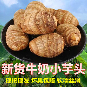 山东牛奶芋头新鲜毛芋头小香芋艿