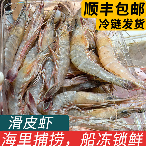 舟山滑皮虾剑虾硬壳虾条虾鹰抓虾
