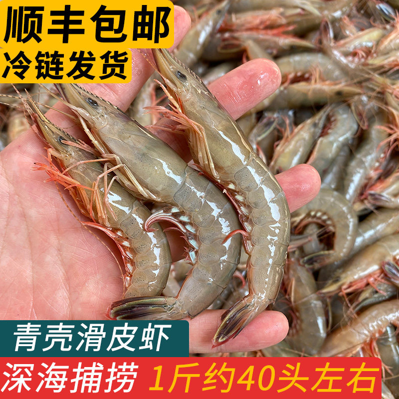 舟山海虾青壳滑皮虾新鲜冷冻海捕活皮虾大条海虾海鲜一斤40头左右