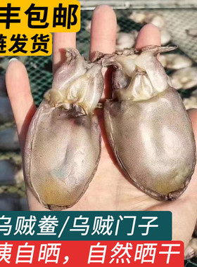 乌贼鲞乌贼门子顺丰包邮