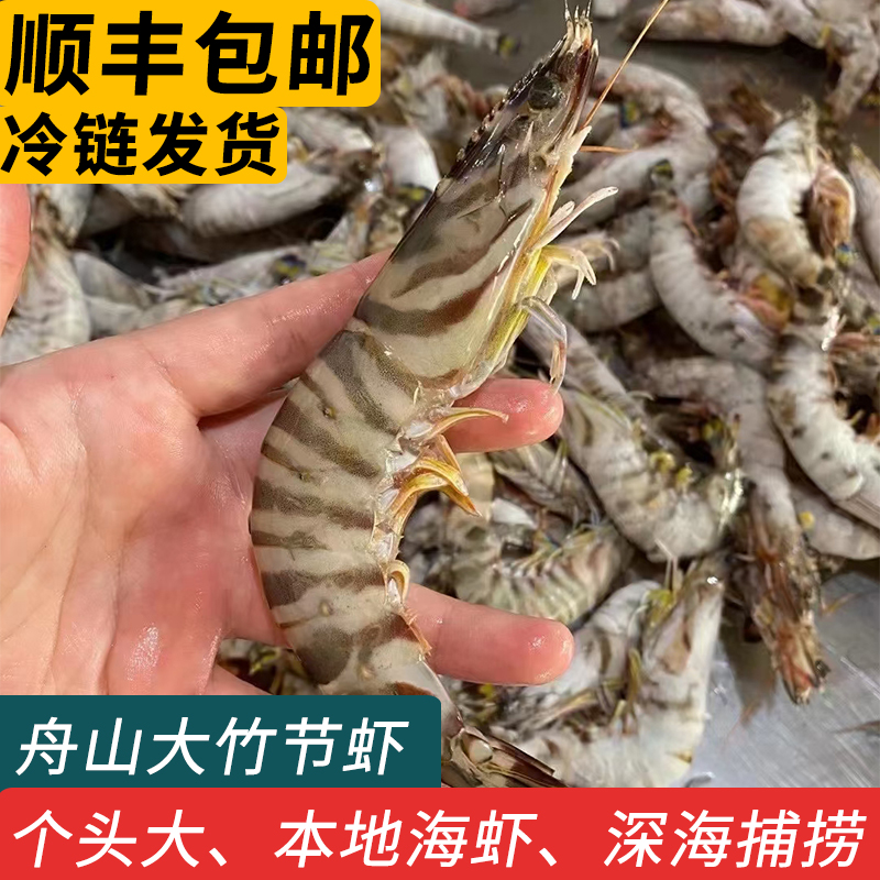 舟山阿姨海鲜海捕九节虾基围大虾鲜活速冻海虾冷冻斑节黑虎竹节虾