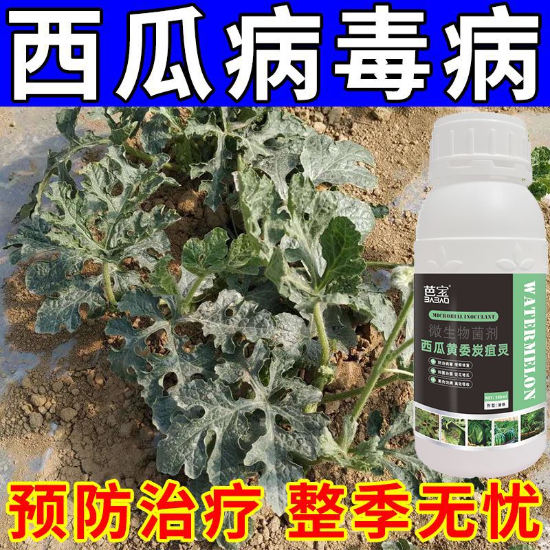 西瓜微生物菌剂通用杀菌正品西瓜病毒病特效药卷叶花叶病小叶黄叶