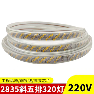220v超亮五排320灯户外防水led线条灯带装饰2835高压家用软灯条