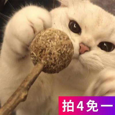 用品薄荷球洁齿逗猫棒