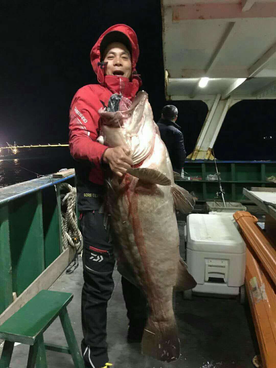 渔山岛鲜生的海鲜水产鲜活野生龙趸石斑鱼东星斑儿童辅食孕妇滋补