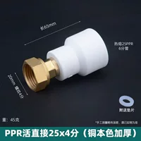 PPR Live Connection 25*4 балла (сгущенная медная шляпа натурального цвета)