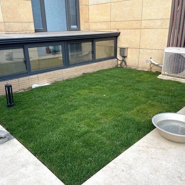 草皮矮生草坪带土真草皮卷单位小区公园绿化操场马路庭院矮生草皮,鲜花速递/花卉仿真/绿植园艺,海藻球,淘宝优惠券,粉丝福利购,淘宝优惠卷