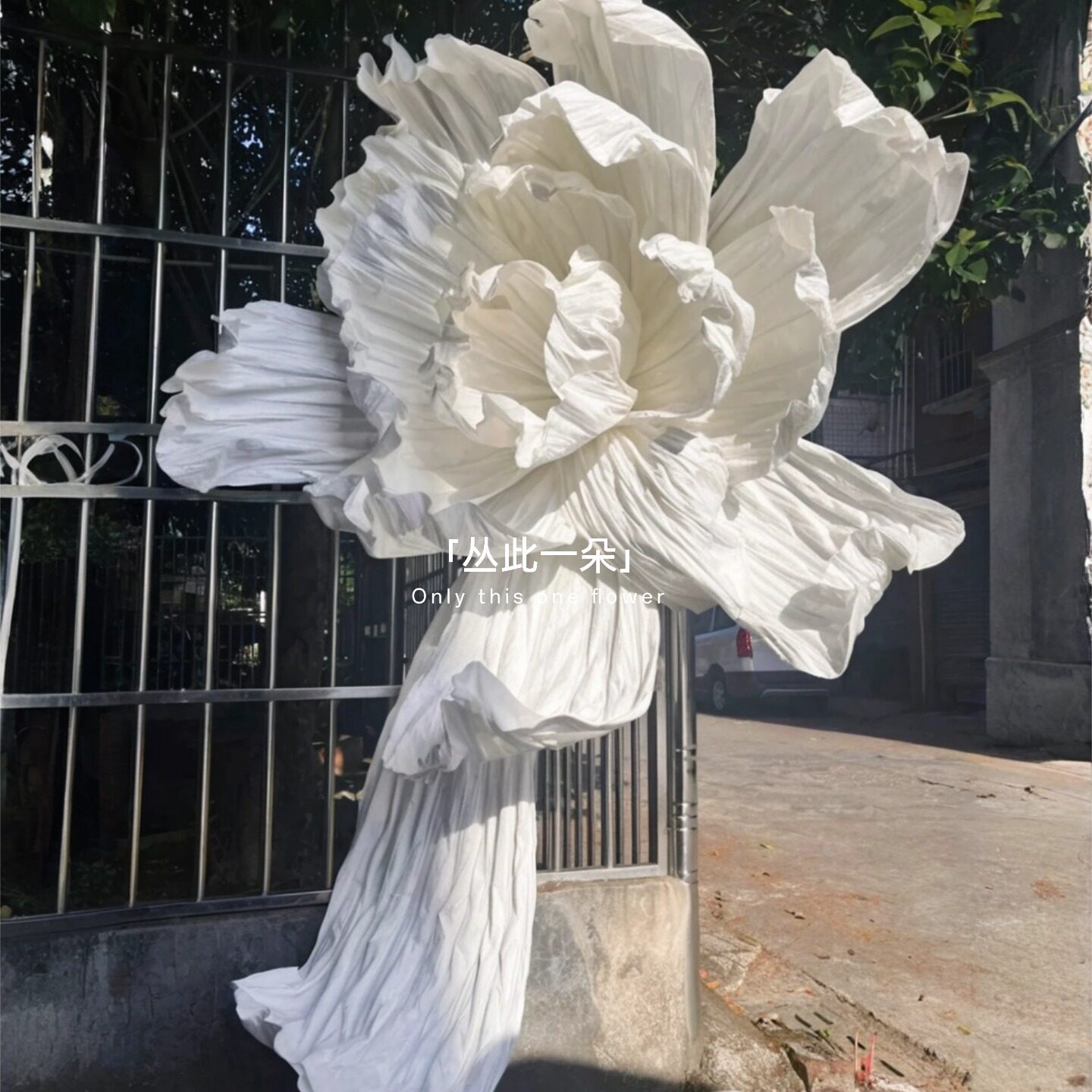 婚礼装饰道具巨型纸花拍摄布置图片