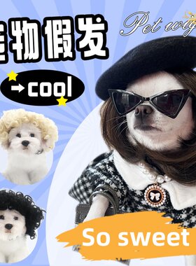 猫咪狗狗宠物假发万圣节宠物饰品