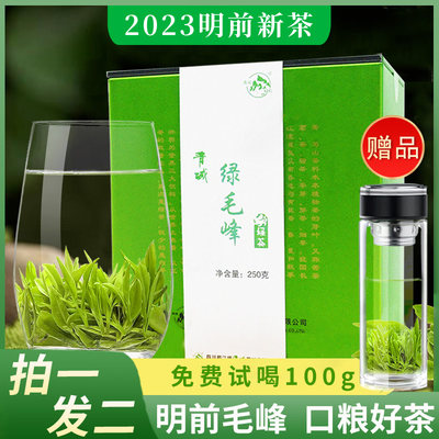 2023明前新茶春茶高山云雾茶叶