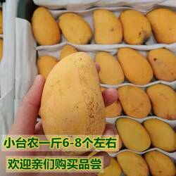新鲜芒果海南小台农芒9斤鸡蛋芒珍珠芒小台芒香甜多汁时令水果
