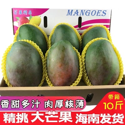 海南青皮澳芒大芒果整箱10斤