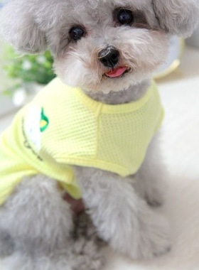夏季薄款透气宠物服装背心泰迪猫咪英短比熊博美布偶狗狗通用衣服