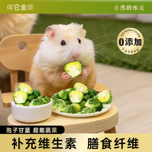 宠物零食孢子甘蓝冻干仓鼠零食磨牙即食宠物蔬菜干金丝熊兔子饲料