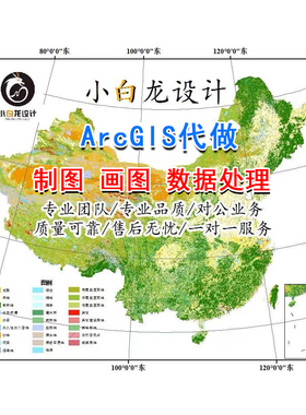 GIS空间分析gis地图制图arcgis代做arcgis数据处理GIS代画作图pro