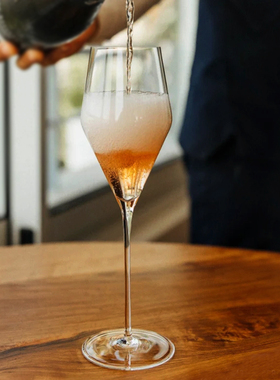 专业级轻奢香槟杯 札图zalto同款起泡酒高脚杯鸡尾酒白葡萄酒杯