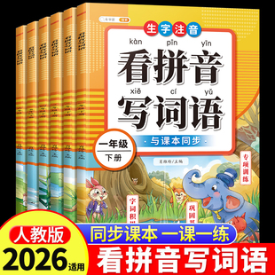 看拼音写词语一年级二年级下册三四五六年级上册语文人教版小学注音生字拼音拼读字词汉字专项强化训练人教版默写纸能手同步练习册