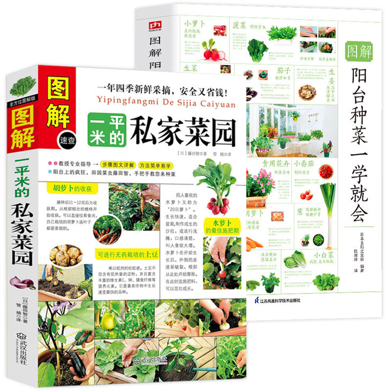 2册 图解一平米的私家菜园+图解阳台种菜一学就会  蔬菜水果和香草的种植方法蔬果种植技术大全家庭阳台盆景蔬菜栽培正版书籍