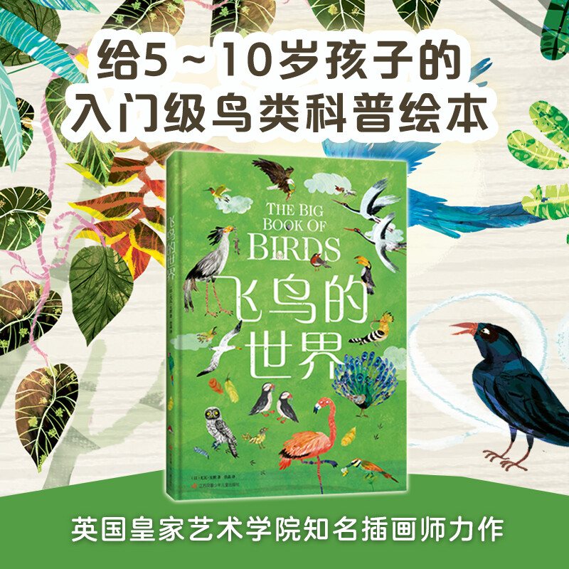 飞鸟的世界 英国皇家艺术学院鸟类科普博主鸟类观鸟生活习性科普书籍
