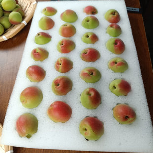 广东饶平胭脂粉梅精选5斤新鲜青梅果鲜果酸梅子应水果泡酒酵素