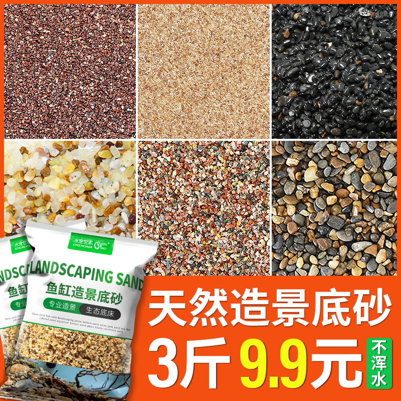 天然造景底砂雨林沙南美棕沙鼠鱼