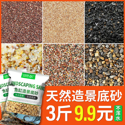 天然造景底砂雨林沙南美棕沙鼠鱼