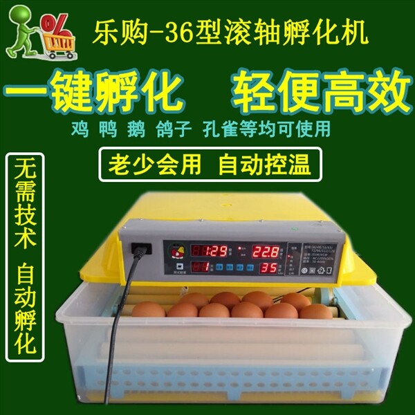 小型呼化机孵蛋设备浮卵箱孵化机