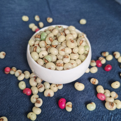 纯天然金佛草棕榈树籽精品散珠手串菩提念珠礼物DIY已抛光已打孔