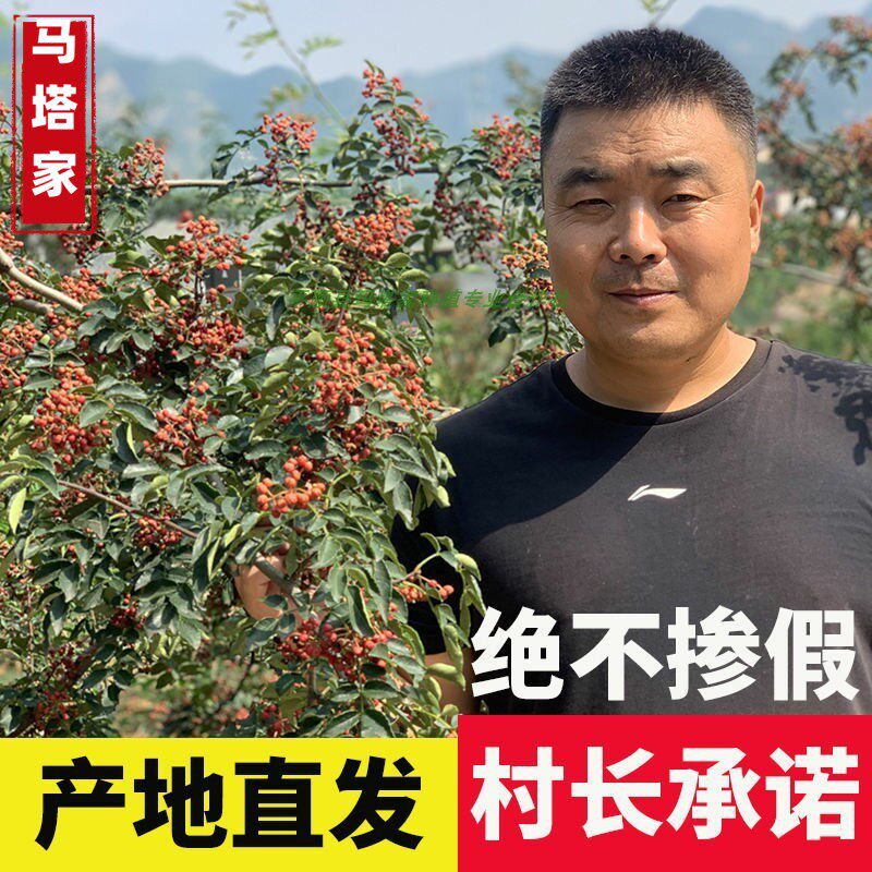 平顺大红袍花椒新花椒500克包邮