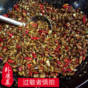 山东徐州邳州特产辣椒蚕蛹 现炒现卖 非真空包装 下饭菜