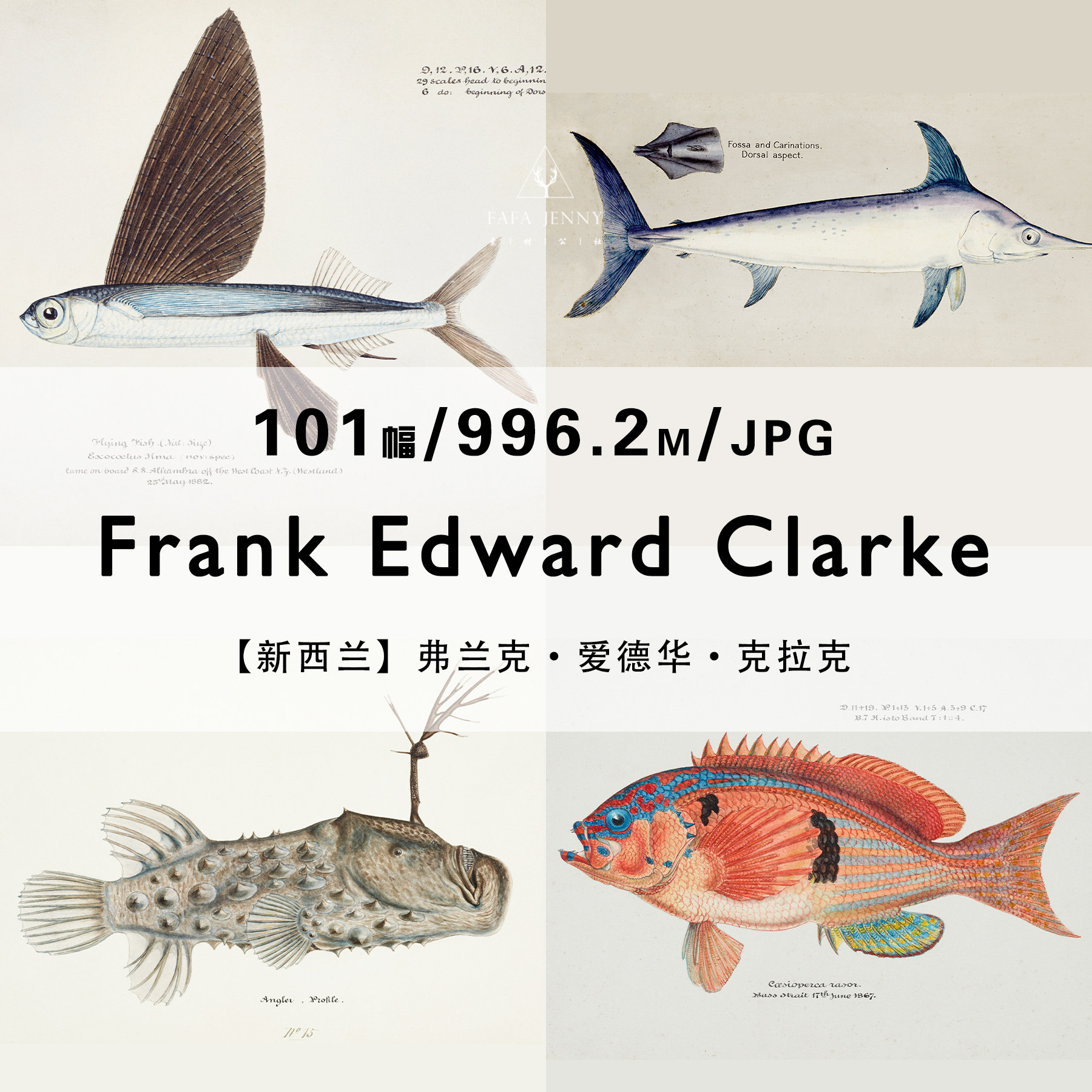 frank edward clarke海洋鱼绘画作品合集图集电子版图片素材资料