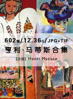 马蒂斯野兽派绘画集作品集合集人像静物色彩油画高清电子素材资料