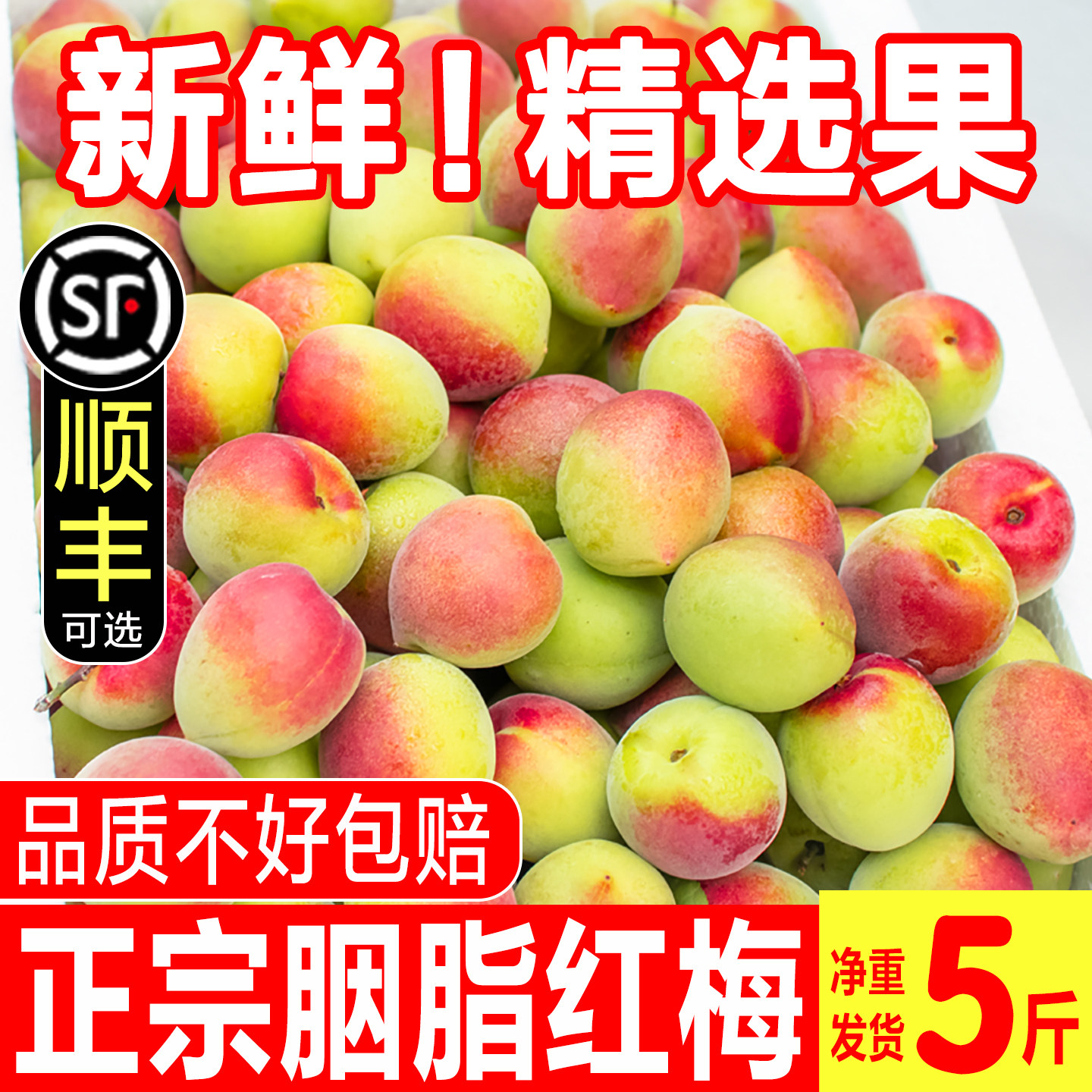 2026新鲜胭脂梅现摘诏安青梅鲜果高山野生红梅泡酒酵素生酸脆梅子