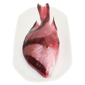冰鲜三刀鱼 1.8斤/条（非活鲜）
