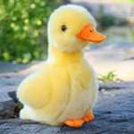 仿真鸭子毛绒公仔会白的鸭玩具网红小黄鸭玩偶安抚玩具儿童礼物
