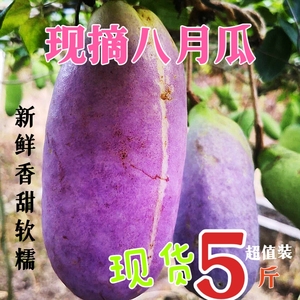 新鲜九月黄水果现摘拿藤果木通野果牛卵坨八月瓜野香蕉八月炸包邮