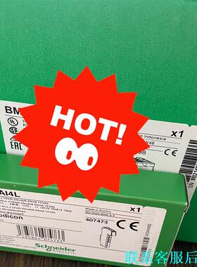 TM5SAO4L TM5SAO2L 施耐德模拟量输入模块全新议价