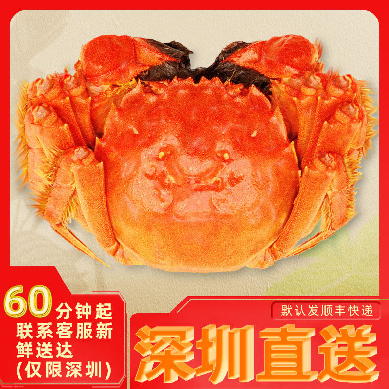 现货苏州大闸蟹全公蟹3.5-3.7两共10只礼盒装鲜活螃蟹顺丰包邮
