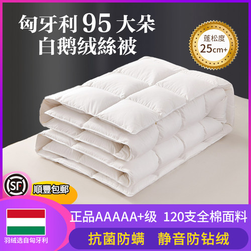 100%羽绒丝被95进口白鹅绒丝冬被秋冬被芯加厚保暖恒温单人双人