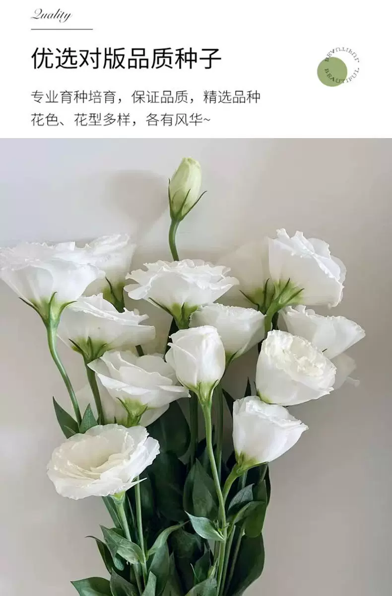 鲜花云南昆明鲜花桔梗花家用纯白混搭办公组合水培,鲜花速递/花卉仿真/绿植园艺,月季/蔷薇/玫瑰,淘宝优惠券,粉丝福利购,淘宝优惠卷