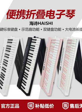 海诗haishi-Y201电子琴初学者便携电子琴专业考级智能可折叠88键