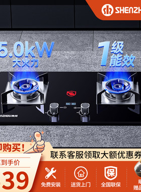 神州5.0kW定时猛火燃气炉煤气炉