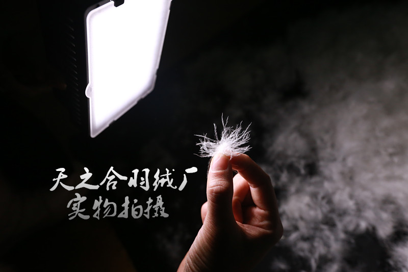 散装原料大朵填充物95%羽绒被