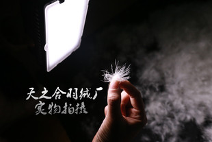 散装 羽绒被羽绒服填充物95%羽绒 羽绒原料白鸭绒鹅绒大朵