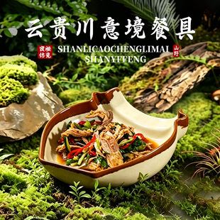 山野风云贵川bistro餐厅商用菜盘子融合菜漂亮饭特色异形网红餐盘