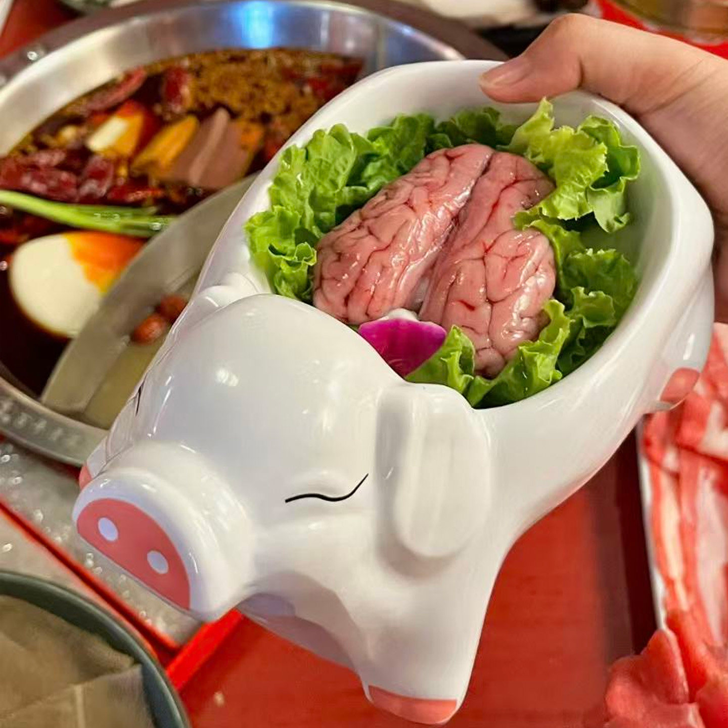 重庆卤味小猪造型黄喉鸭肠鸭血碗脑花专用盘网红创意密胺火锅餐具,餐饮具,盘,淘宝优惠券,粉丝福利购,淘宝优惠卷