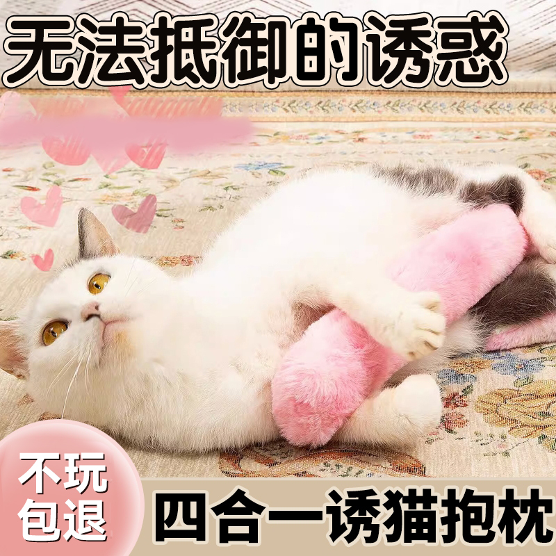 猫咪疯玩一整天【当天发】